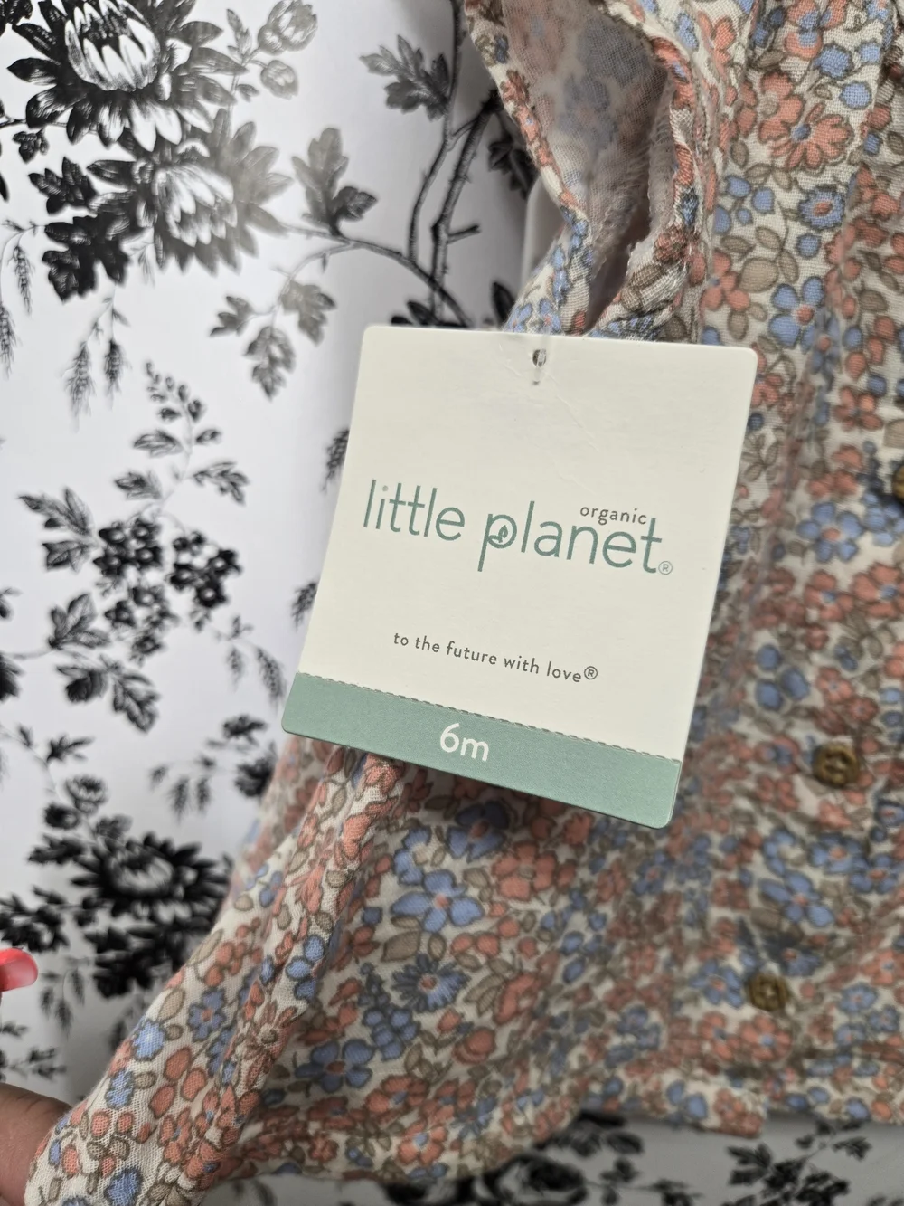 Little Planet By Carter's Peach & Blue Floral Button-Front 6mo Baby Set
